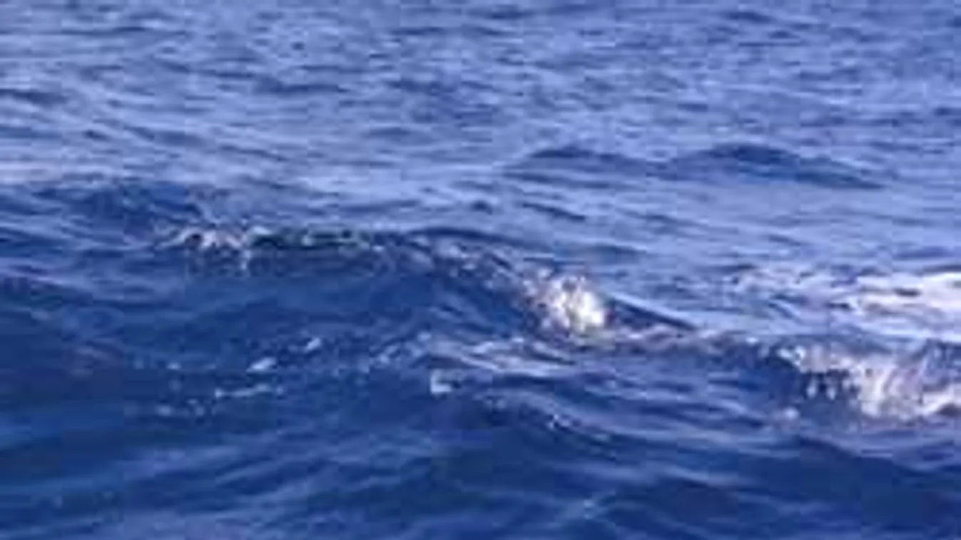 Csoda történt a Vörös-tengerben? Sosem látott dolgot videóztak