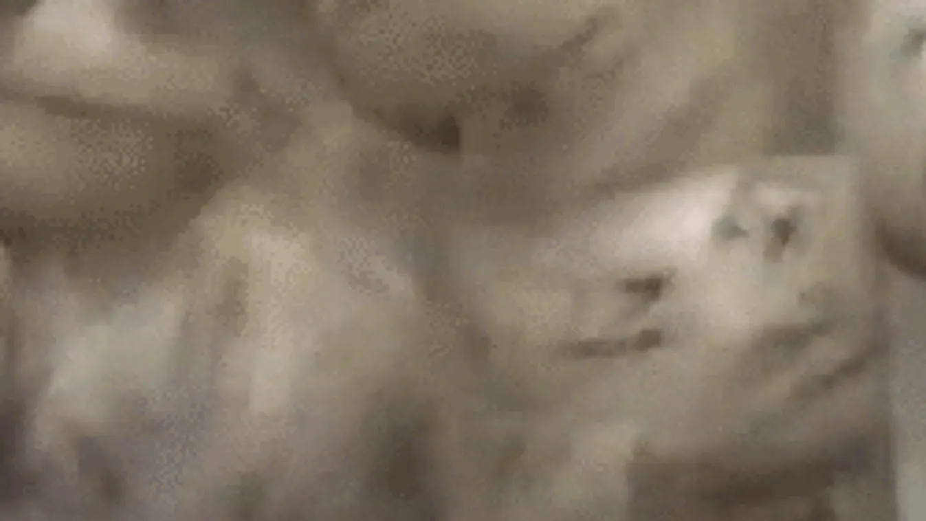 Kerestél ma 655 millió forintot?