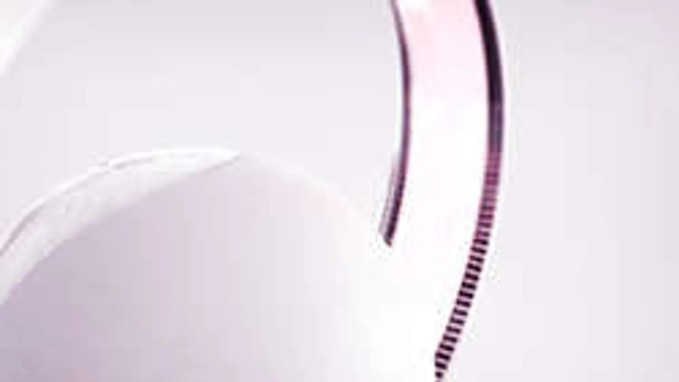 Hihetetlen: ez a magyar találmány lehet a hosszú élet titka