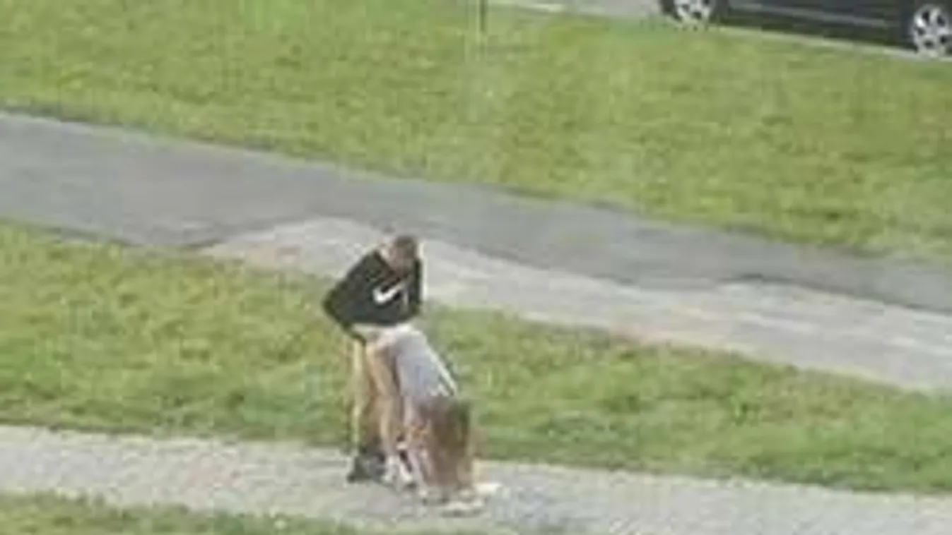 Fényes nappal kezdett vad szexbe az utca közepén a párocska