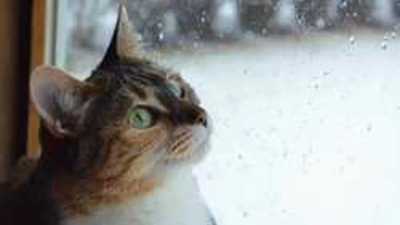 Meteorológiai vészjelzés: jégverés és viharok mossák el a hétvégét