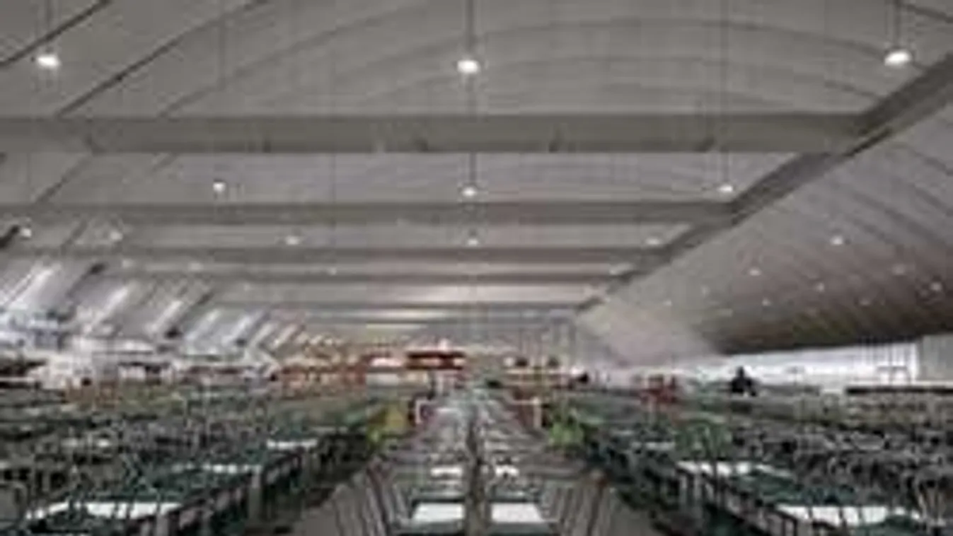 Riói lakoma: őrület, hogy főznek az olimpián