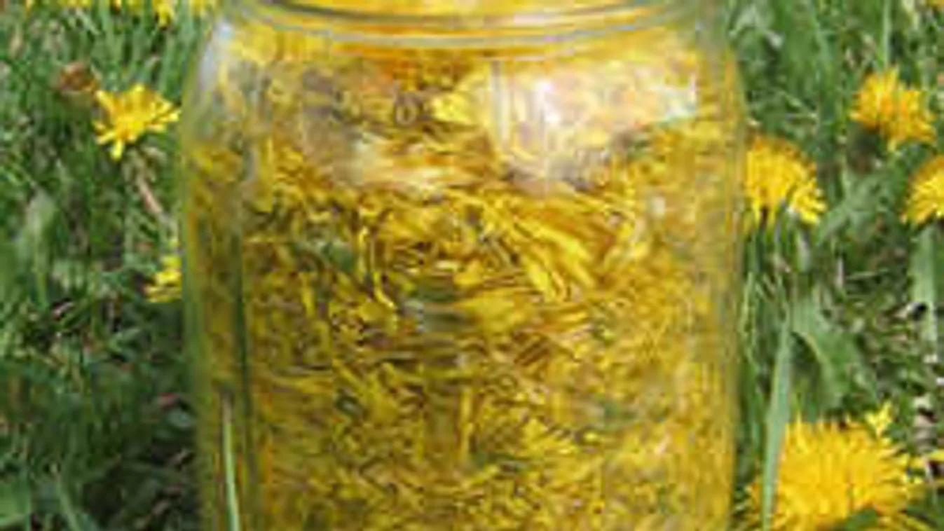 Hoppá: tényleg erre is jó a kutyatej?