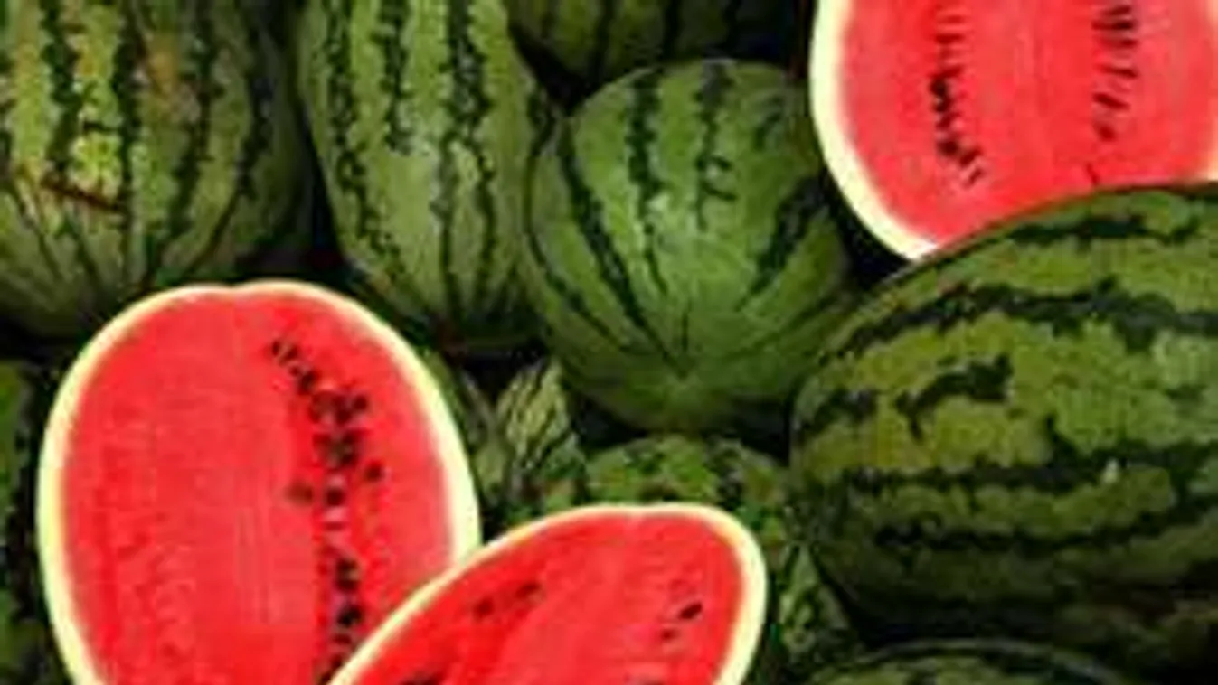 Nem kell a dinnyét lékelni! Ha jót akarsz keresd a sárga foltot!