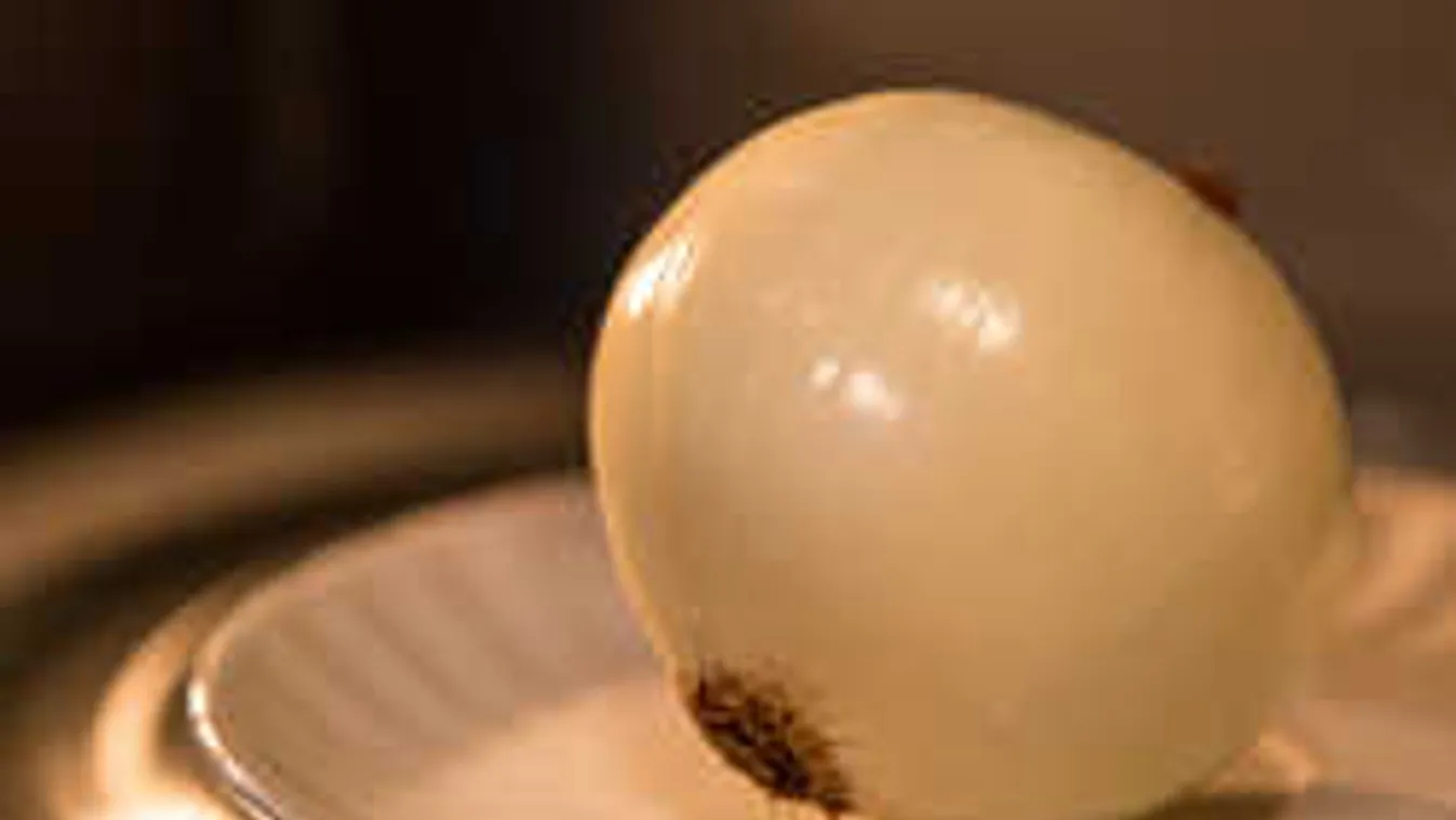 Tedd a vöröshagymát a mikróba, és tátva marad a szád!