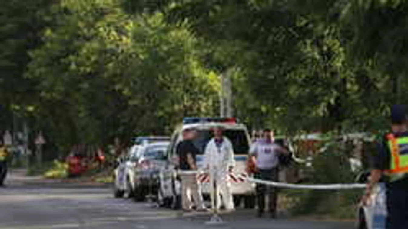 Fotók a helyszínről, újabb részletek a budapesti gyilkosságról