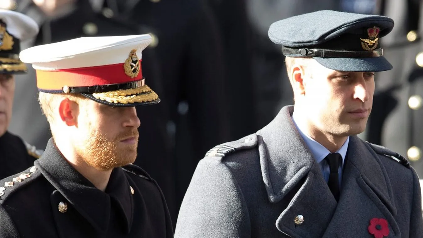 Harry herceg Vilmos herceg vita