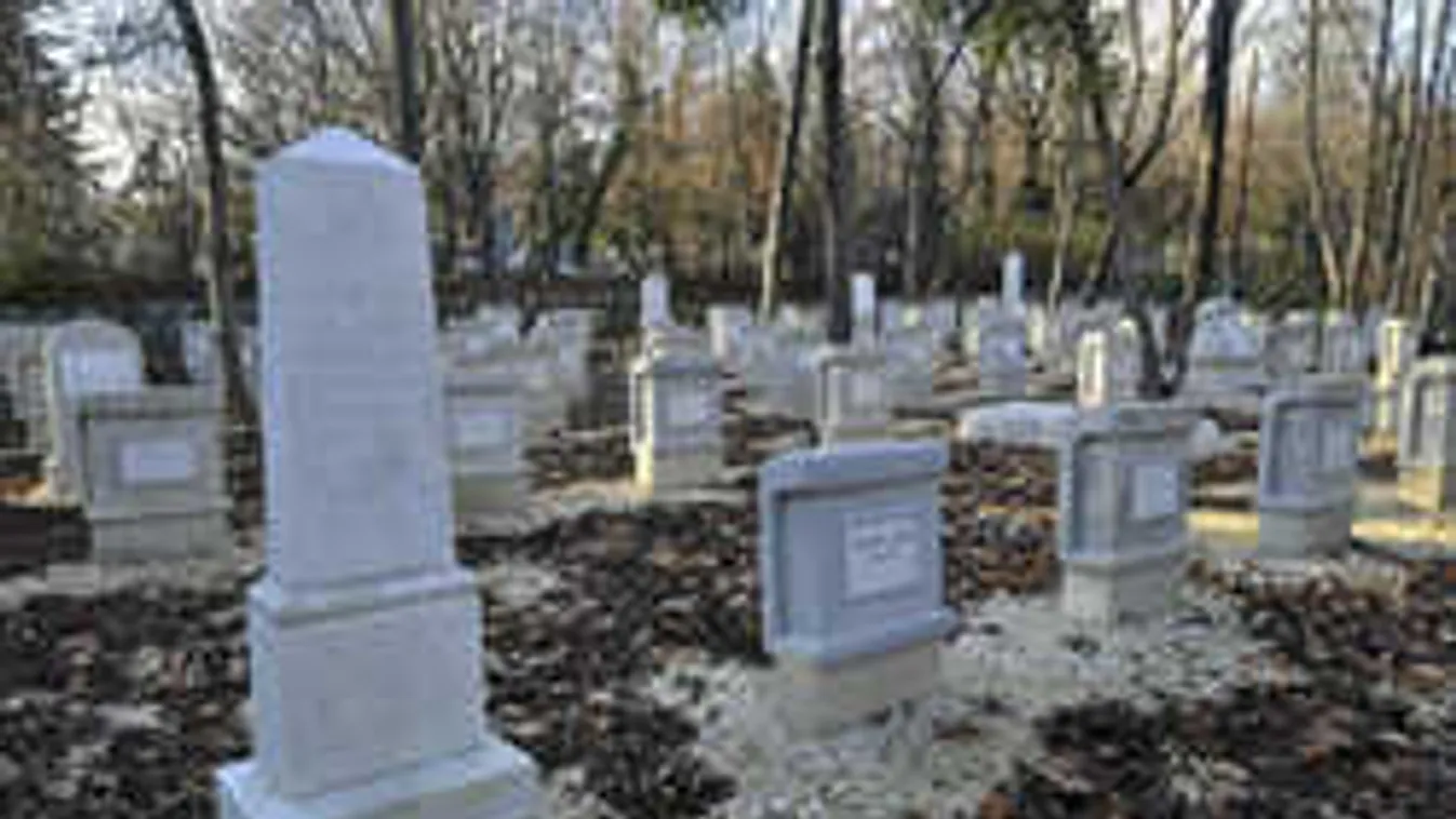 Köszönet a zsidó temetők helyreállításáért