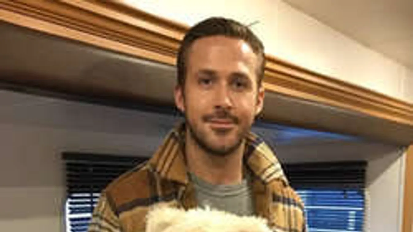 Harrison Ford és Ryan Gosling nálunk jótékonykodik