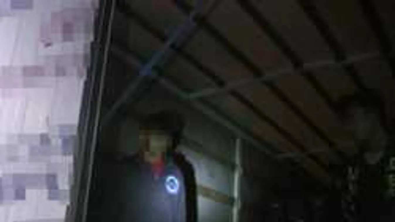 Ismét kamionba bújt migránsokat fogtak Tompánál