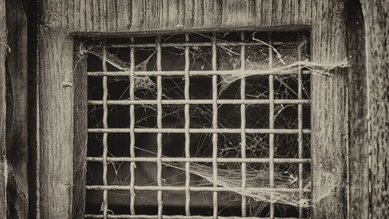 Elsírták magukat a rendőrök: Meztelenül, éhesen, bezárva találtak rá 7 kisgyerekre