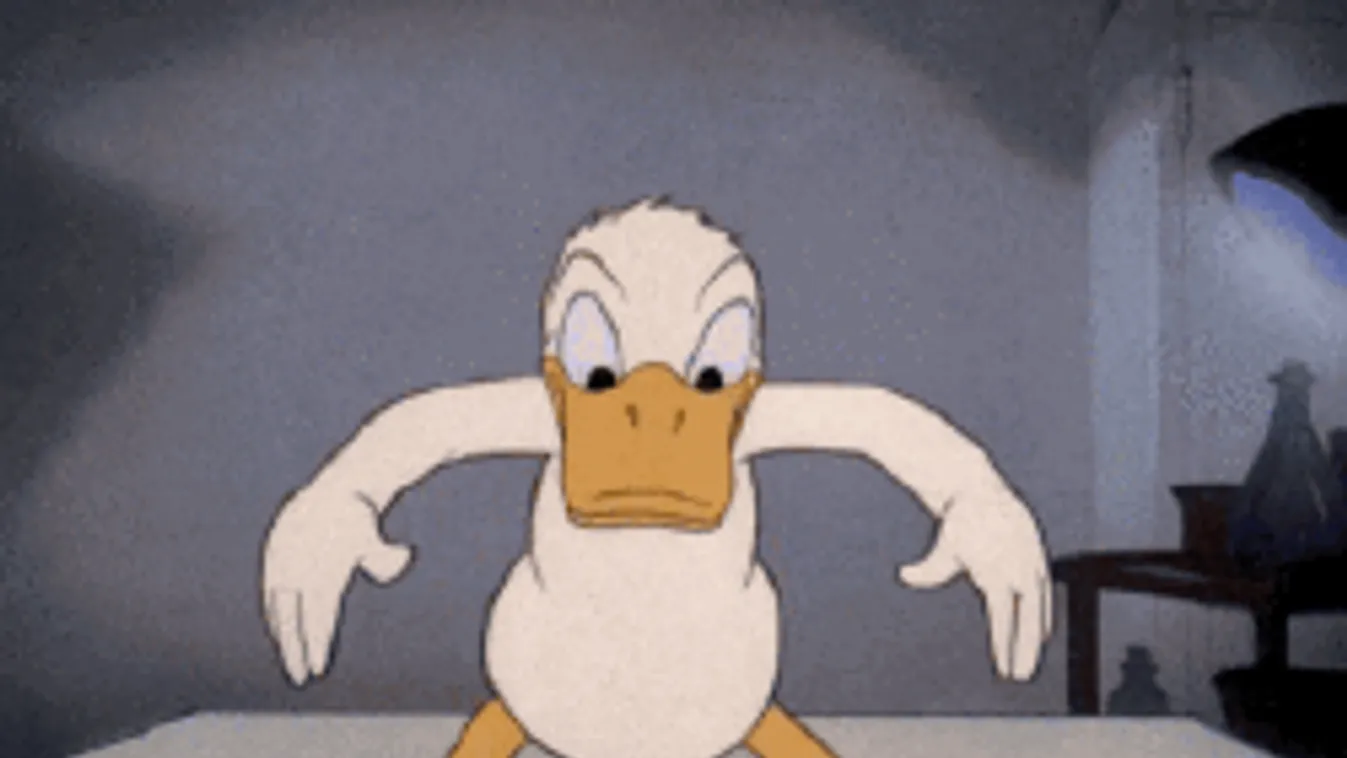 Már forog Magyarország legdurvább reality-je