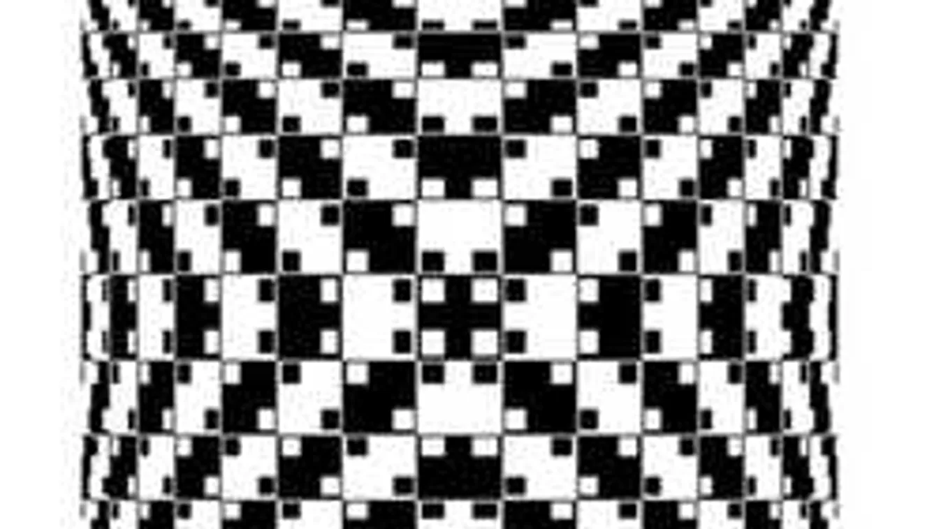 Most kiderül, sasszemed van-e: az emberek 87%-a elbukik a rejtvényen