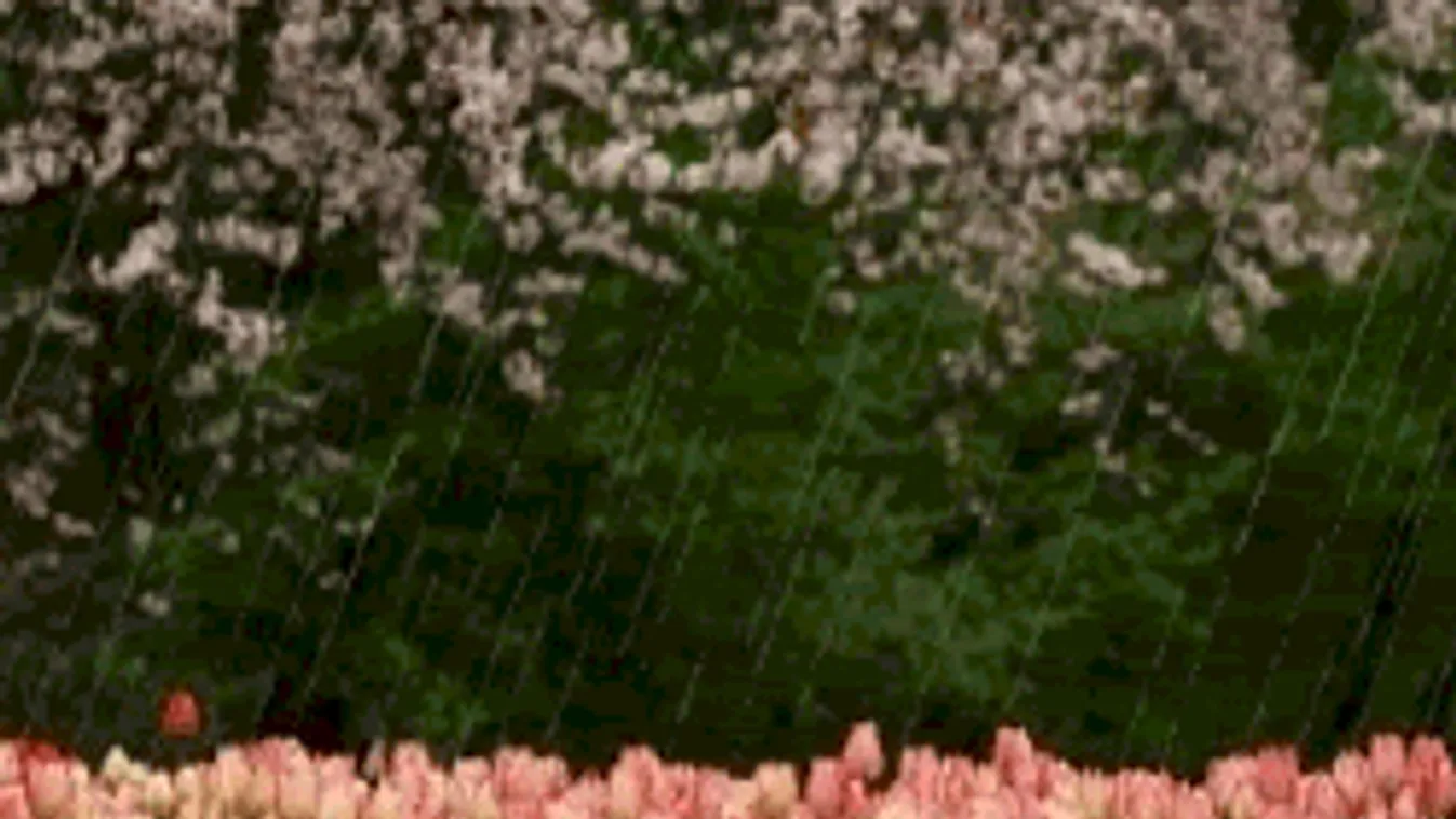 Itt ér véget a kánikula: Mutatjuk, hol készülj esőre