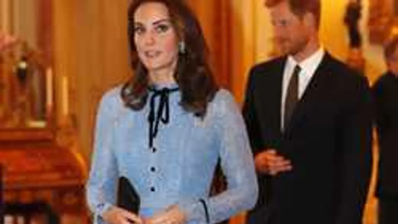 Utálják egymást? Kiderült, mit szól Katalin hercegnő Harry szerelméhez