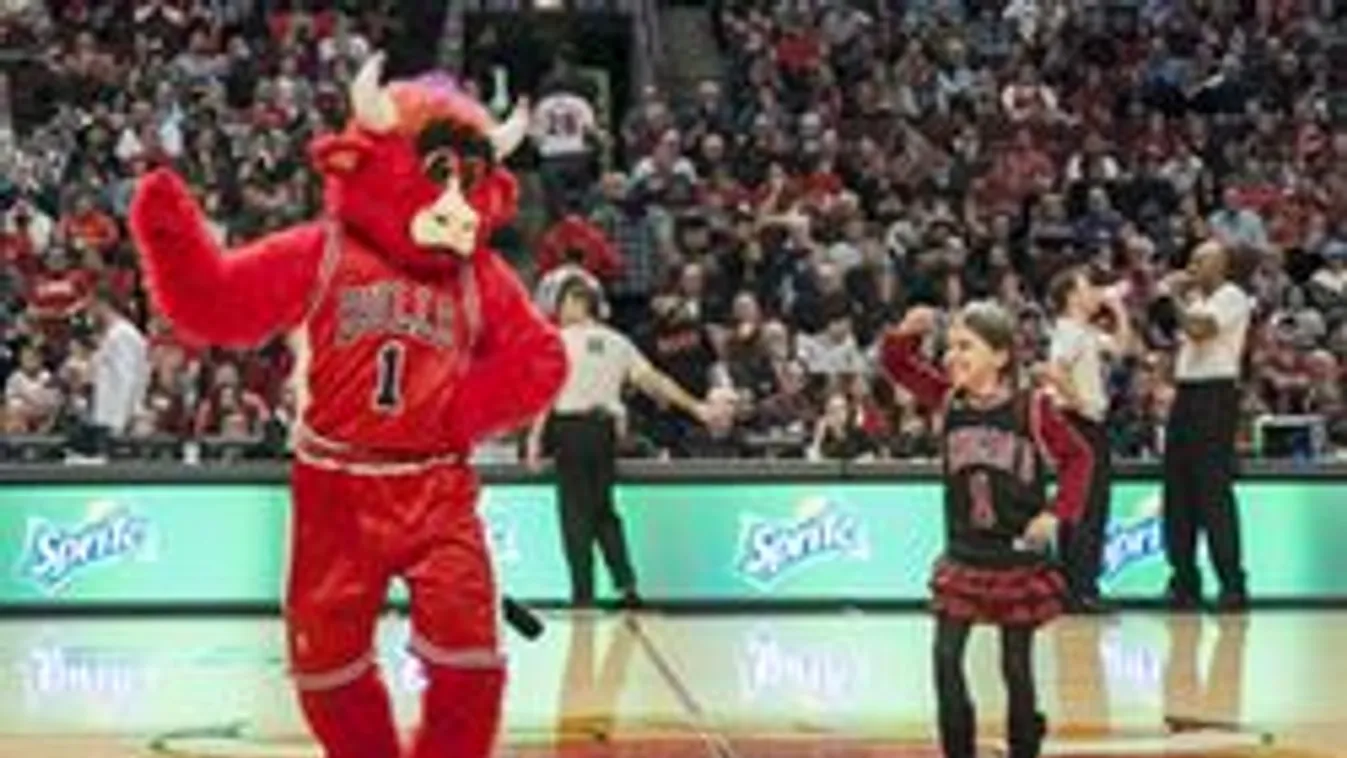 Kukába dobta a gyereket az őrült kabalaállat - videó