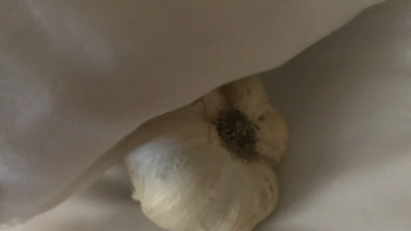 Tegyél fokhagymát a párnád alá, fantasztikus, ami történni fog