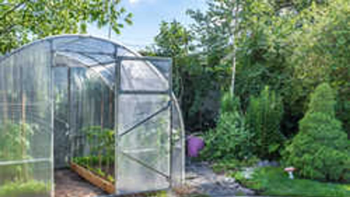 Ezt vessük a kertbe márciusban