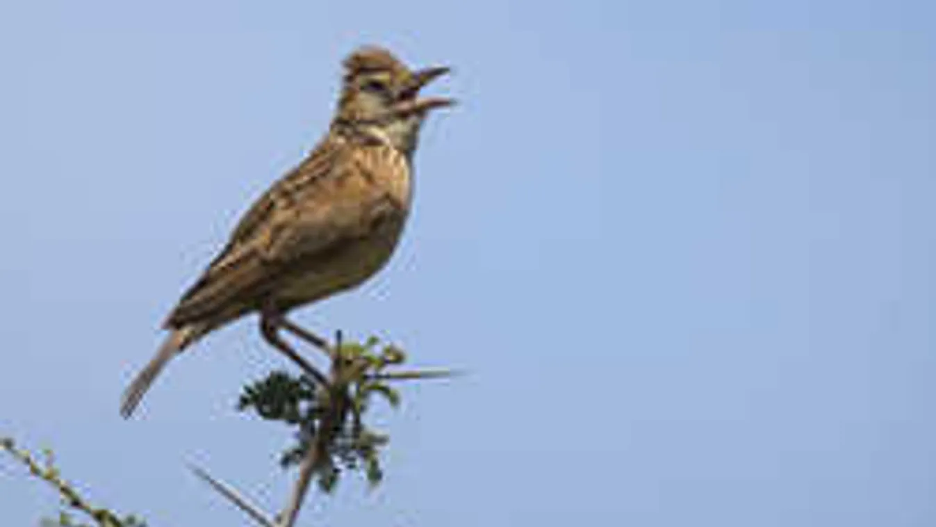 Ma végre kiderül, mikor jön már a tavasz