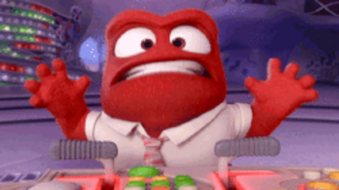 Ettől tuti elkap az ideg! Megvan az év idiótája