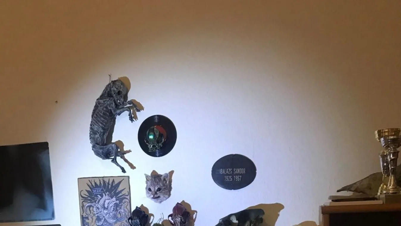 Mindenféle állat maradványát gyűjtötte a férfi