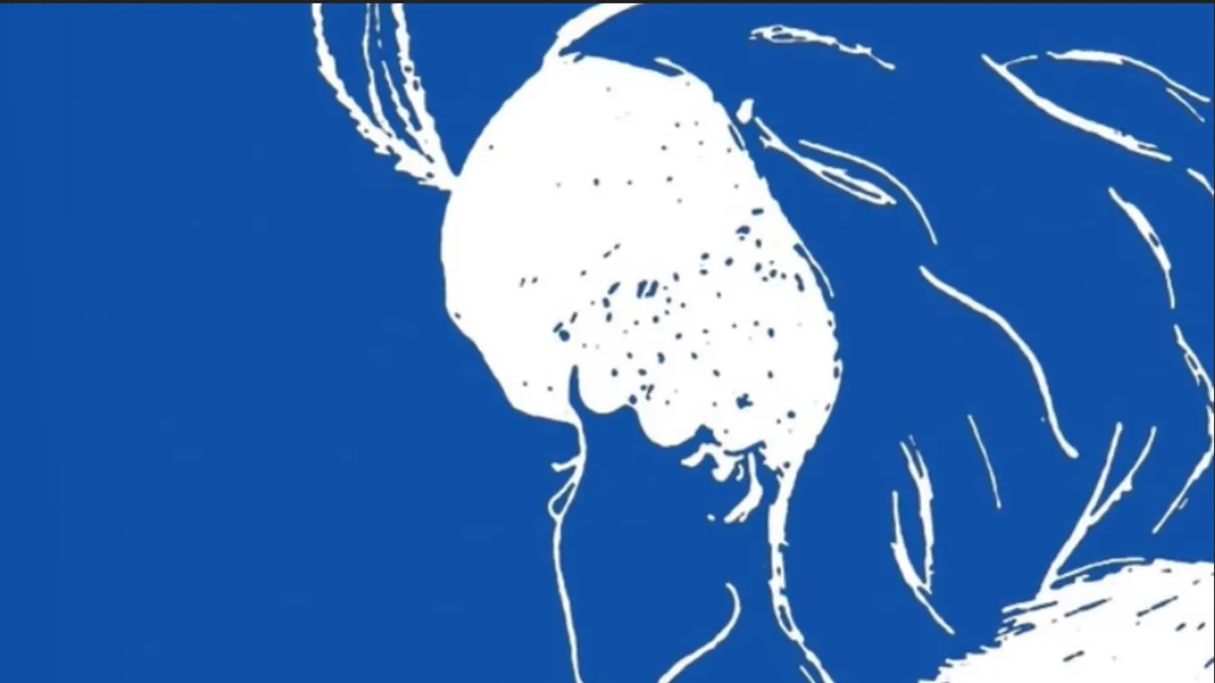 Huncut személyiségteszt: Te mit látsz meg először a képen?