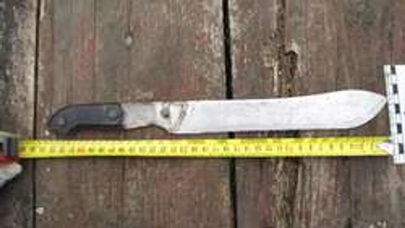 Késsel fenyegette anyja élettársát az ittasan őrjöngő bársonyosi férfi