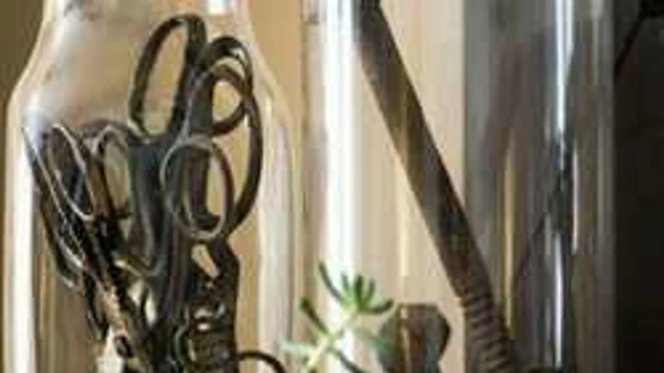 Nincs többé életlen olló! Íme egy pofonegyszerű otthoni trükk