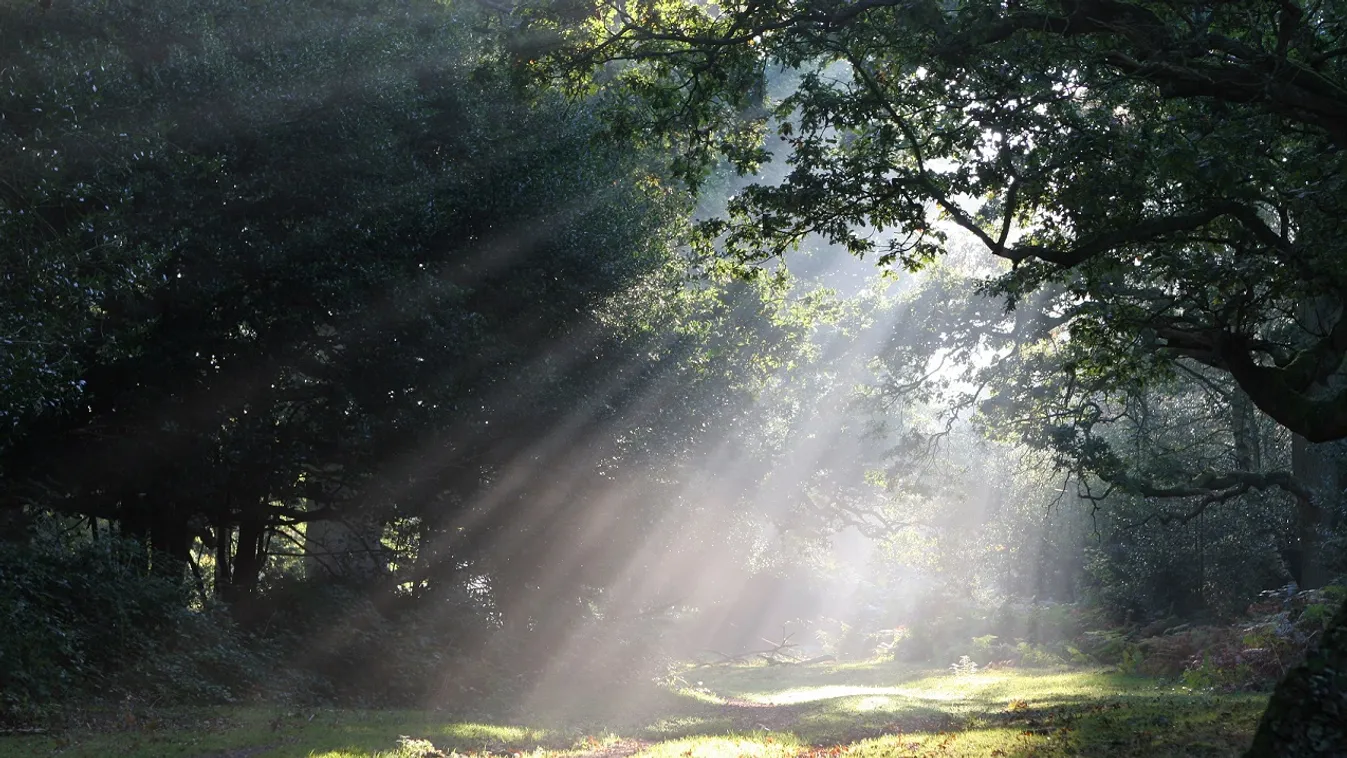 Nem félsz, hogy égsz?