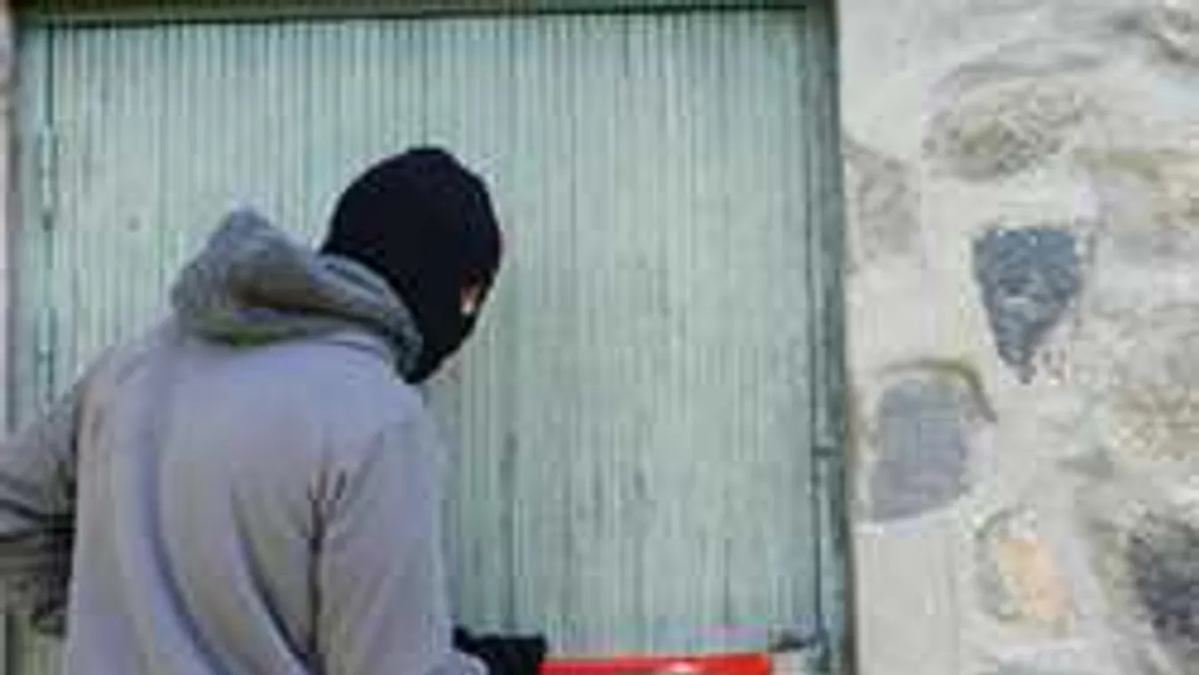 A betörő sem számított rá, mi várja a kerítés túloldalán meneküléskor