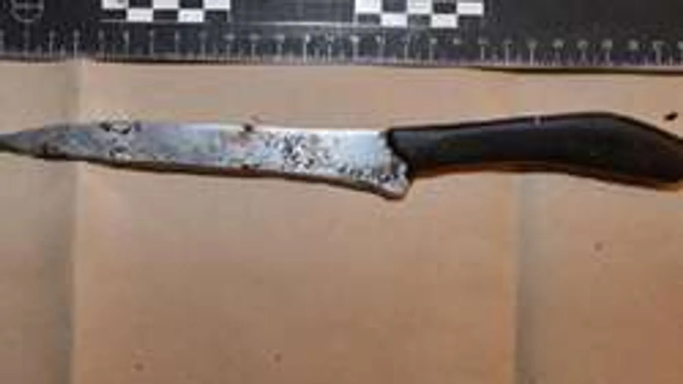 Sokkoló részletek! 25 késszúrással ölte meg édesanyját