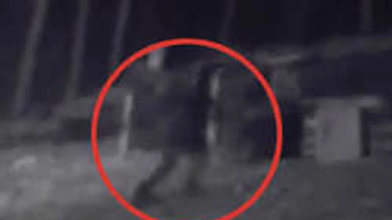 Titkos kamerát szerelt fel a kertben, szörnyű, ami ezután történt