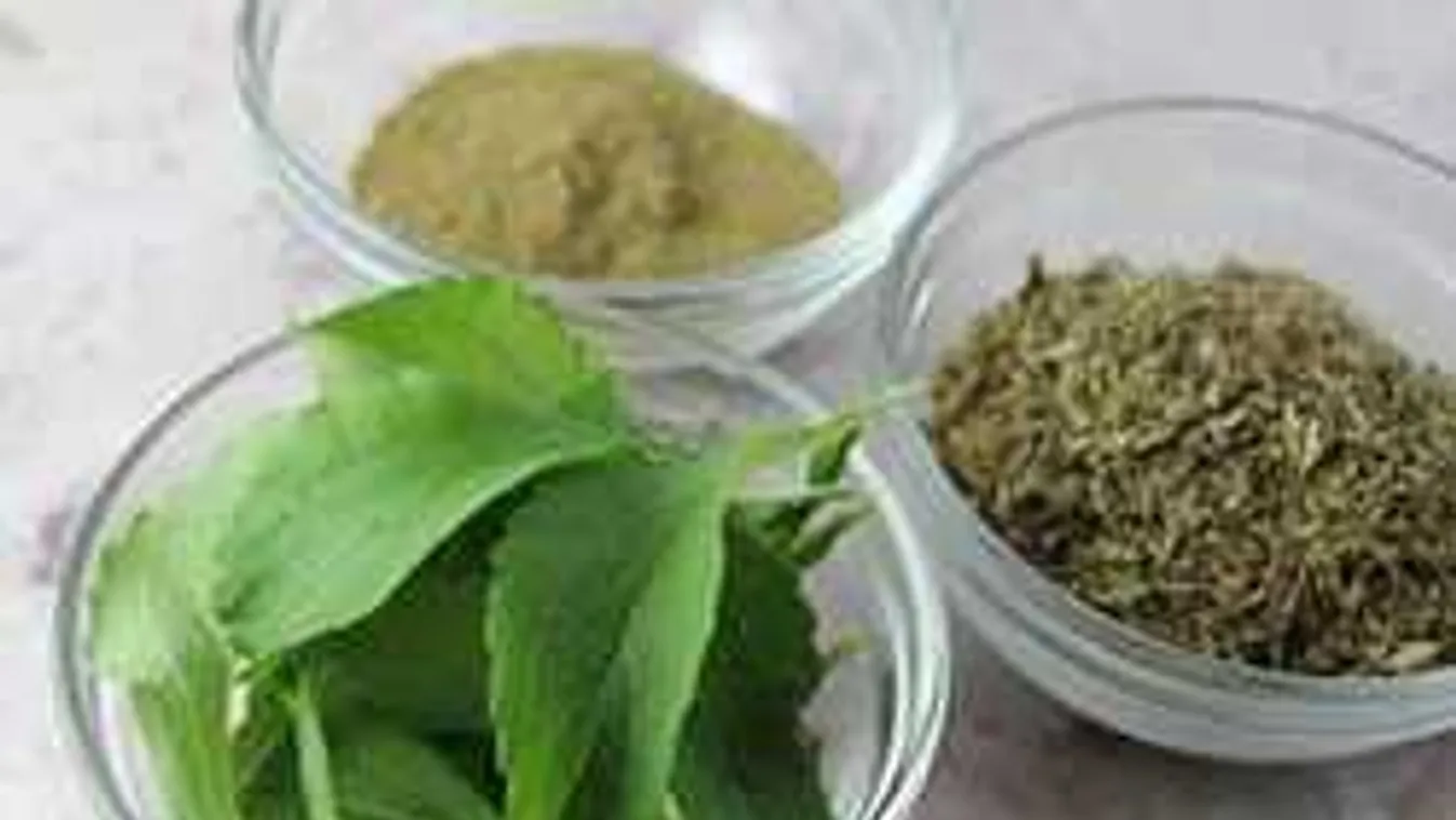 Óriási felfedezés, új gyógymódot találtak a Lyme-kórra