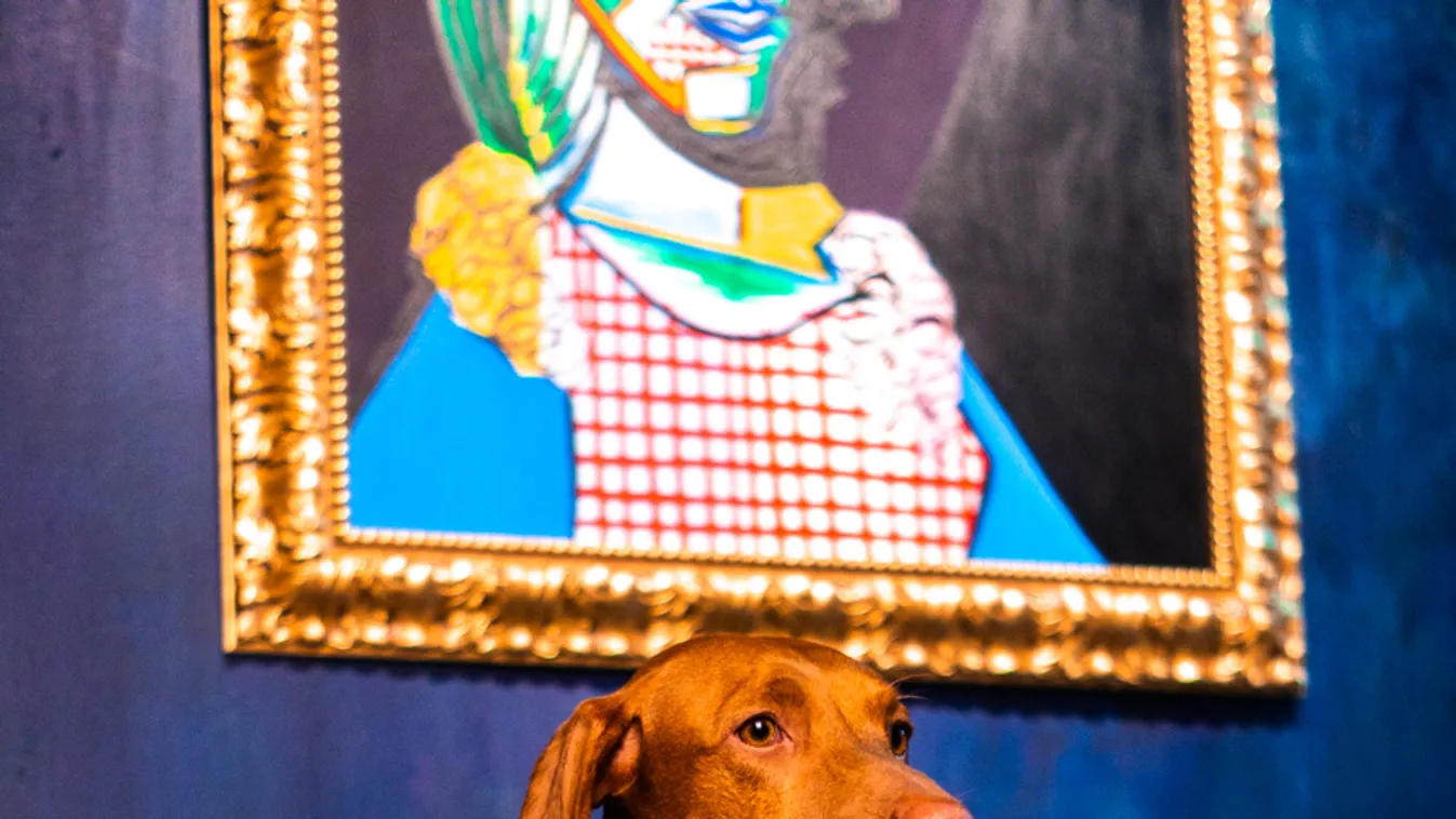 Így haverkodott össze Berlusconi és Jánoska Budapesten, a VII. kerületben