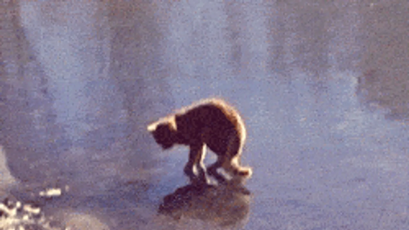 Riasztást adott ki a meteorológiai szolgálat: itt csap le az ónos eső