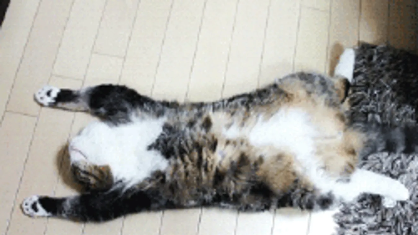 Nem semmi, rendkívüli időt ígér a hétvége - De októberben?!