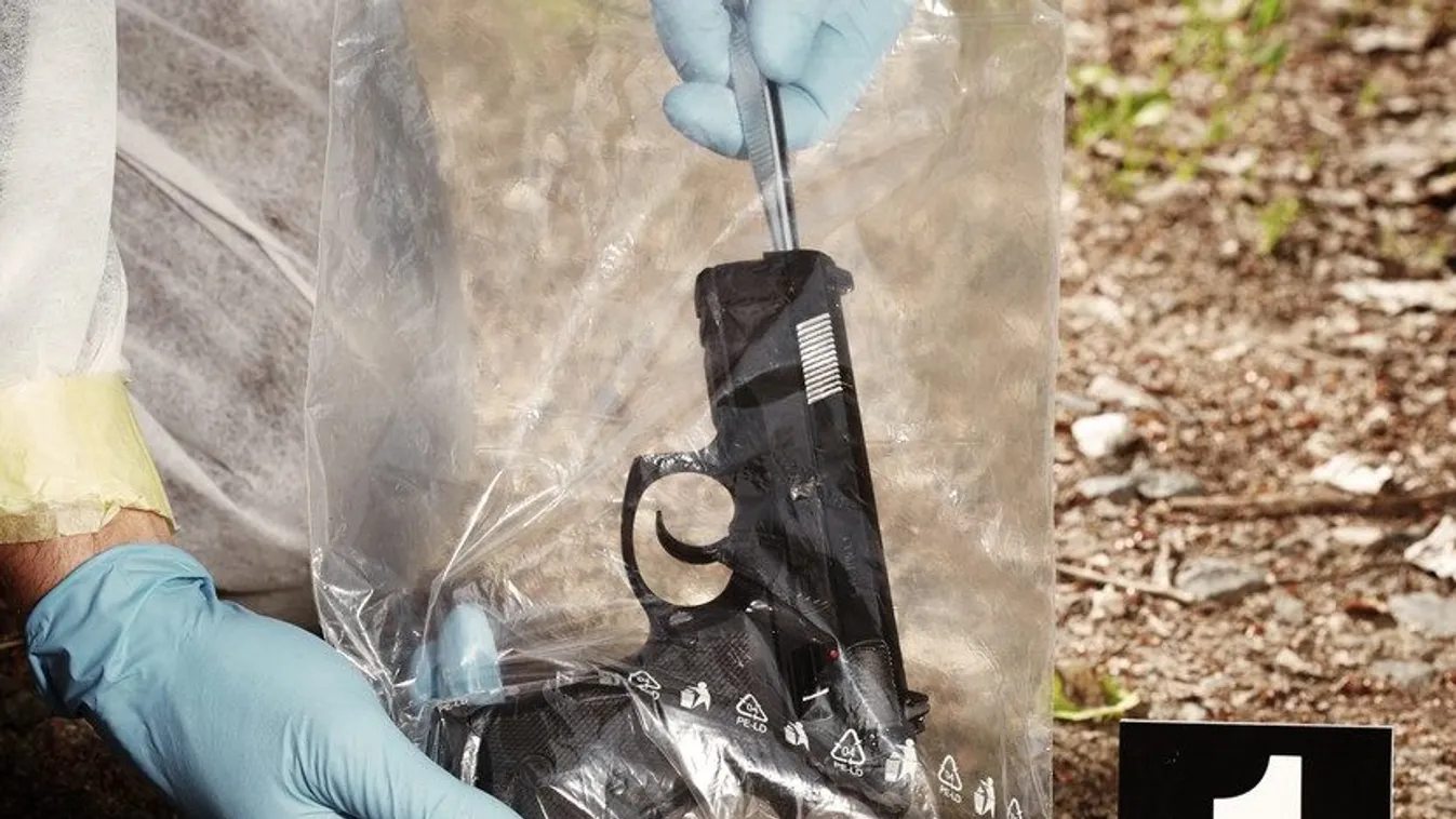 Places of crime - gun and ammunition