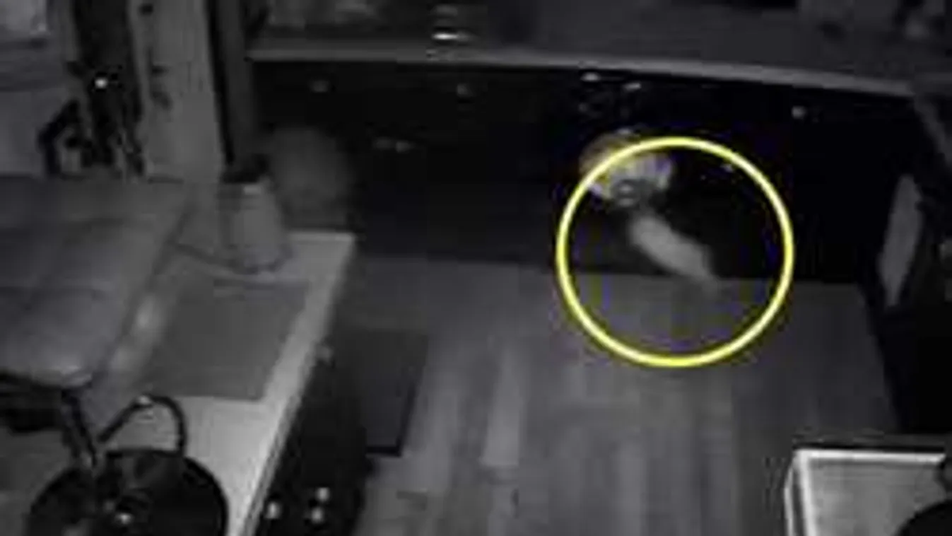 Hülyének nézték a családot, bebizonyították, hogy szellemek léteznek