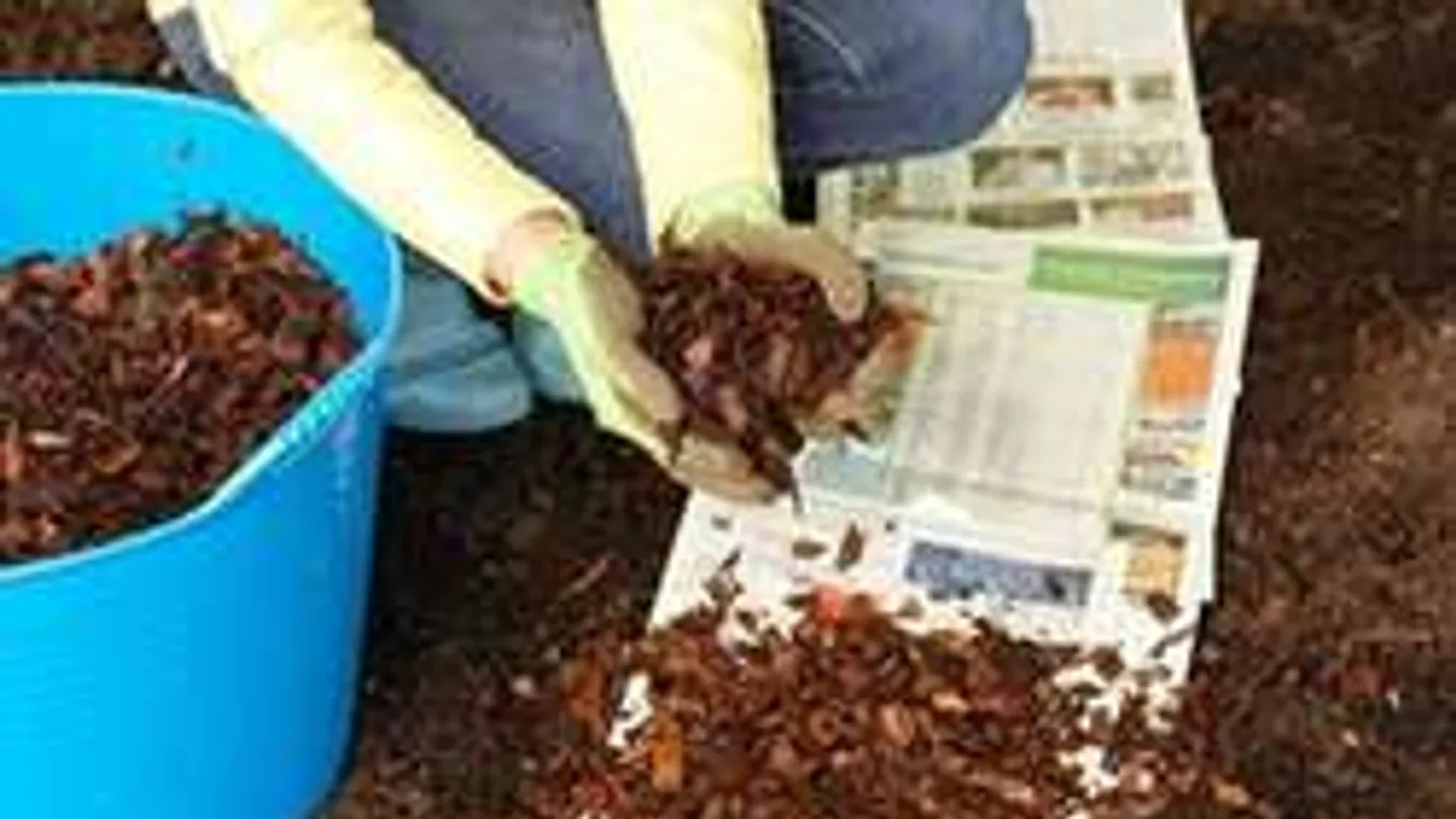 Borítsd újságpapírba a kertet! Meglepő dolog történik! - Fotó