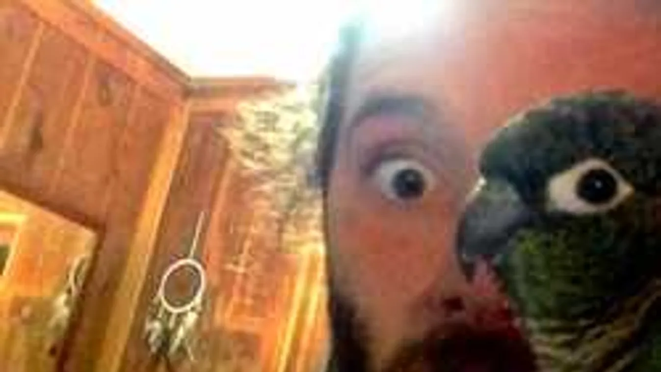 A világ 30 legjobban időzített fotója!