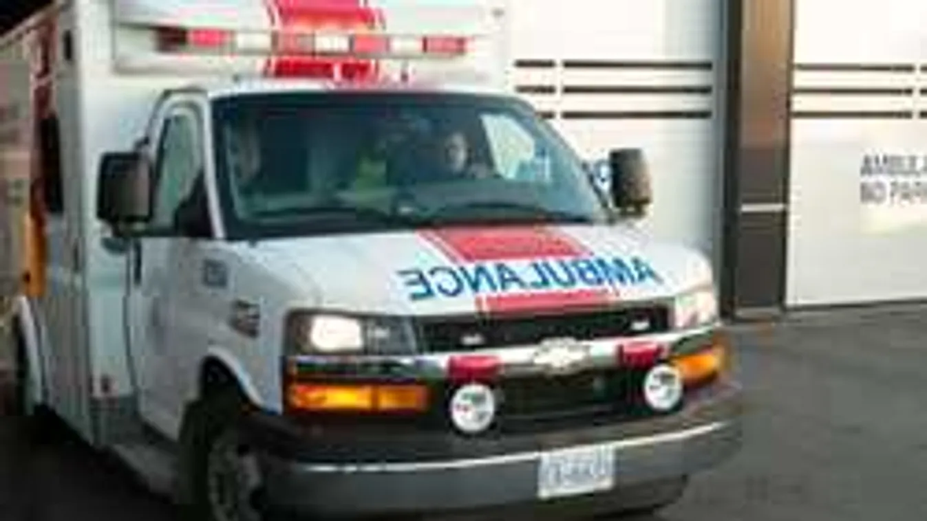 Tragédia történt egy ikerpárral, apjuk ordítására figyelt az utca