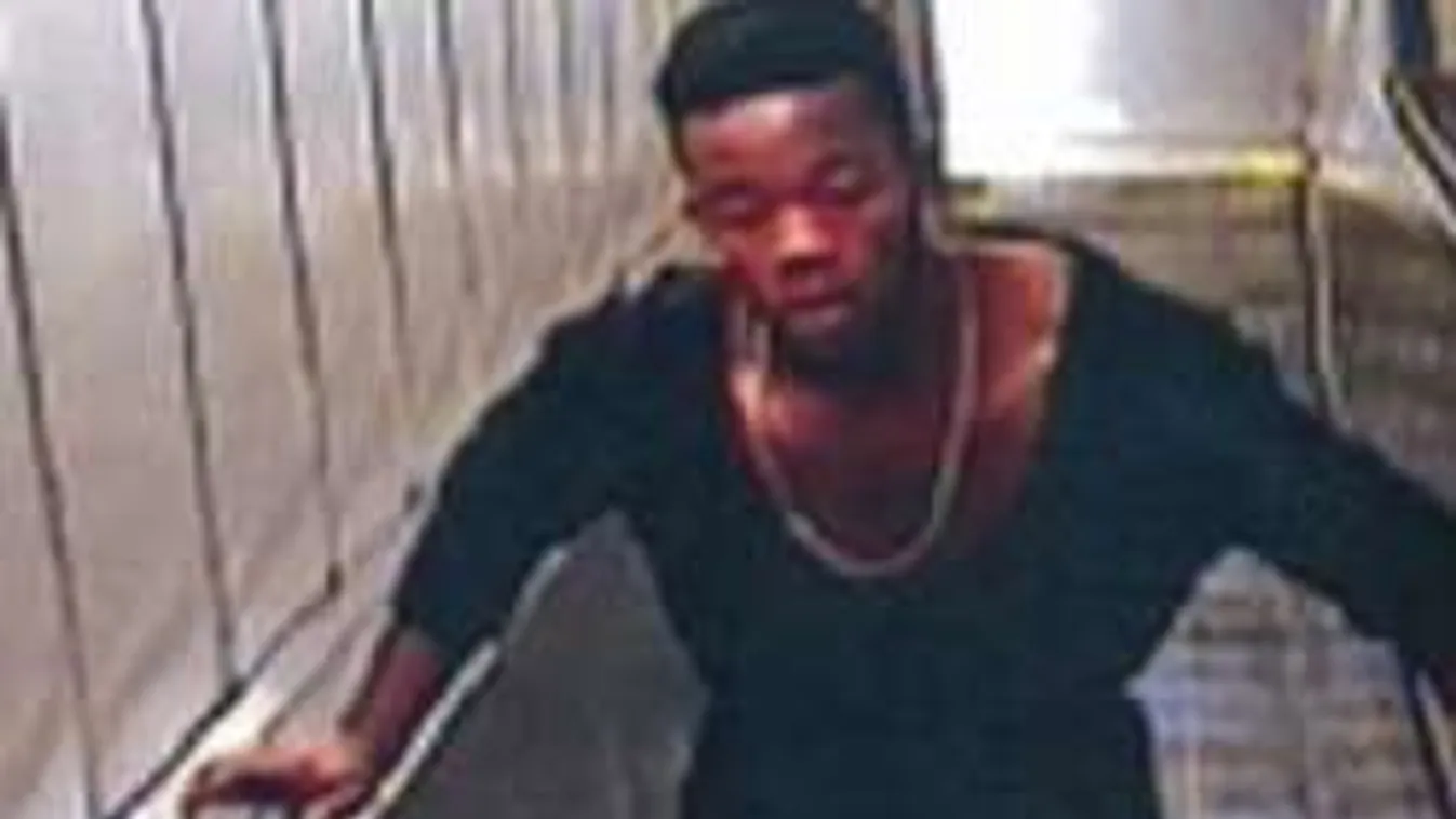 Diáklányt akart megerőszakolni egy migráns a metróaluljáróban!