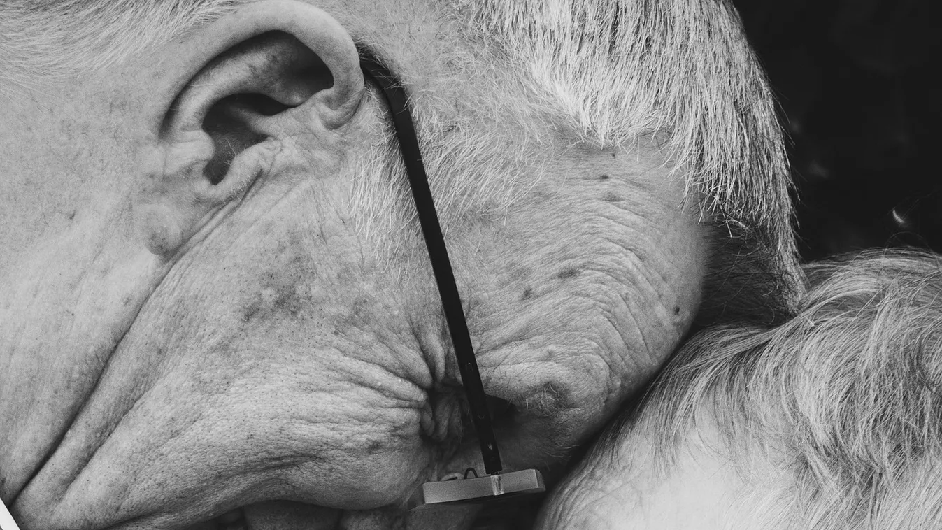 Előtörtek az emlékek – 50 év után keresi élete nagy szerelmét Zsuzsa