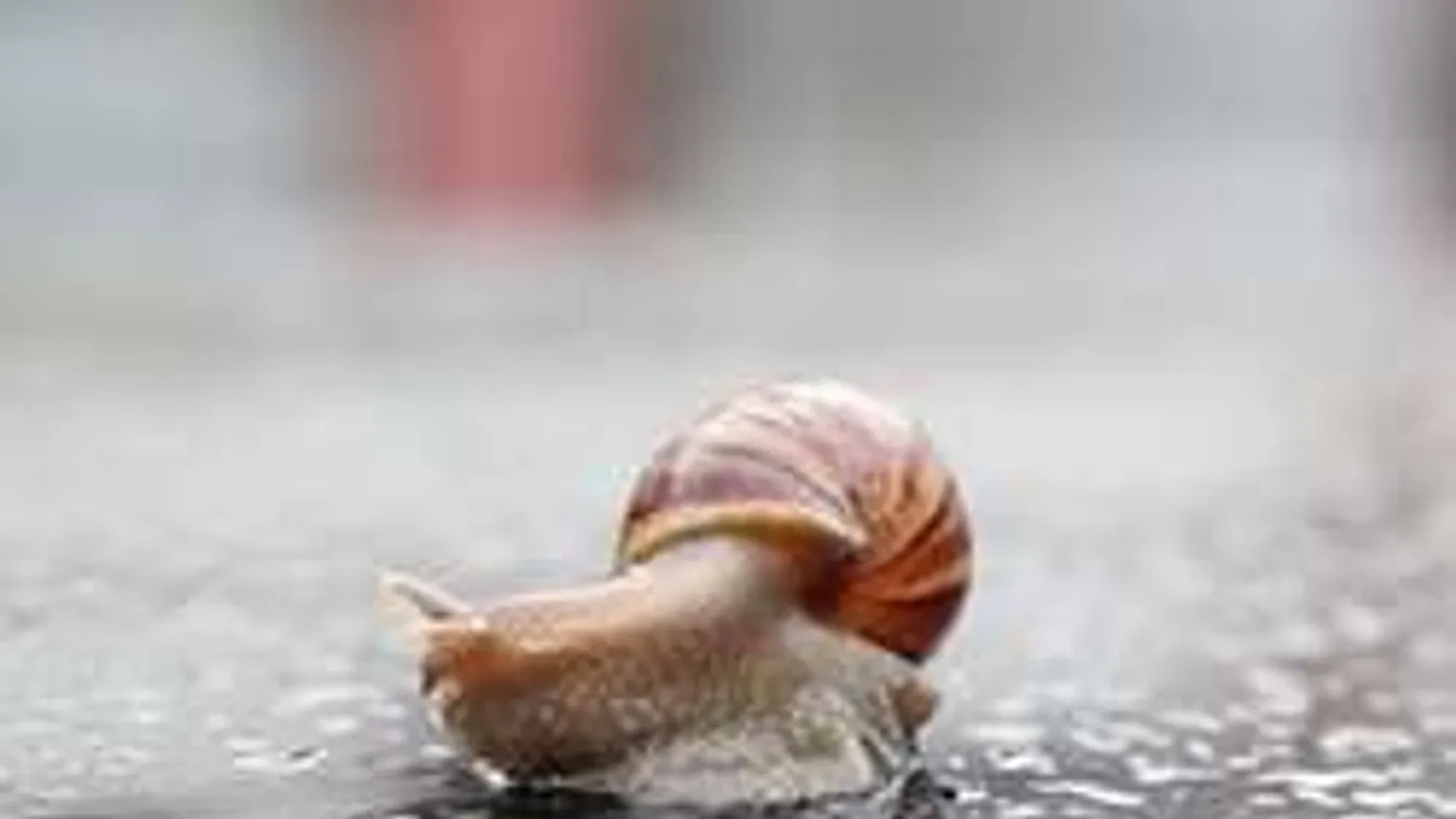 Ne kerülgesd, szedd össze! Pénzt ér az éticsiga!