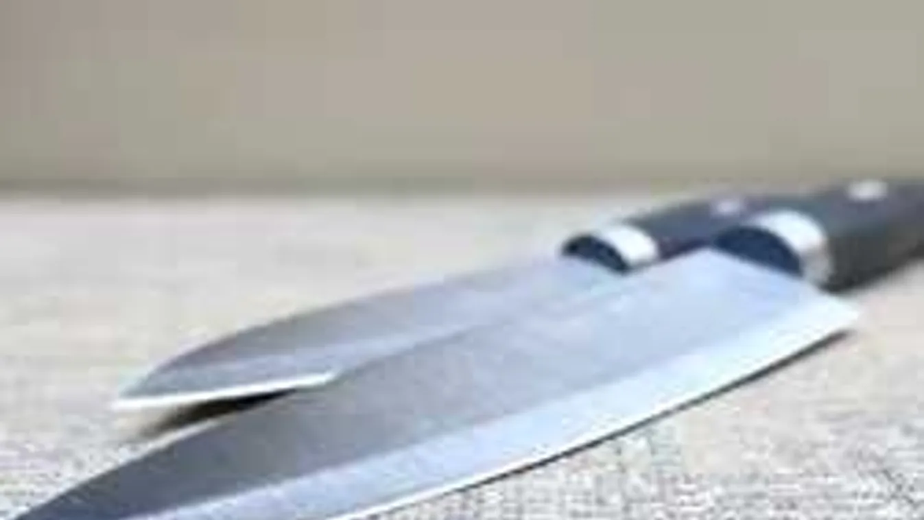 Pánik a vasútállomáson: kést rántott elő a magyar férfi