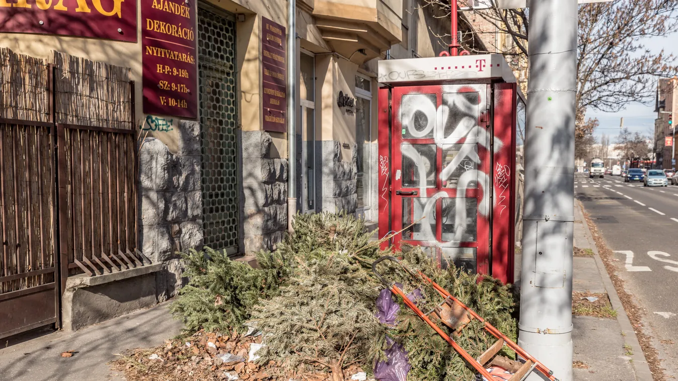 Februárban karácsonyfák hevernek Óbudán