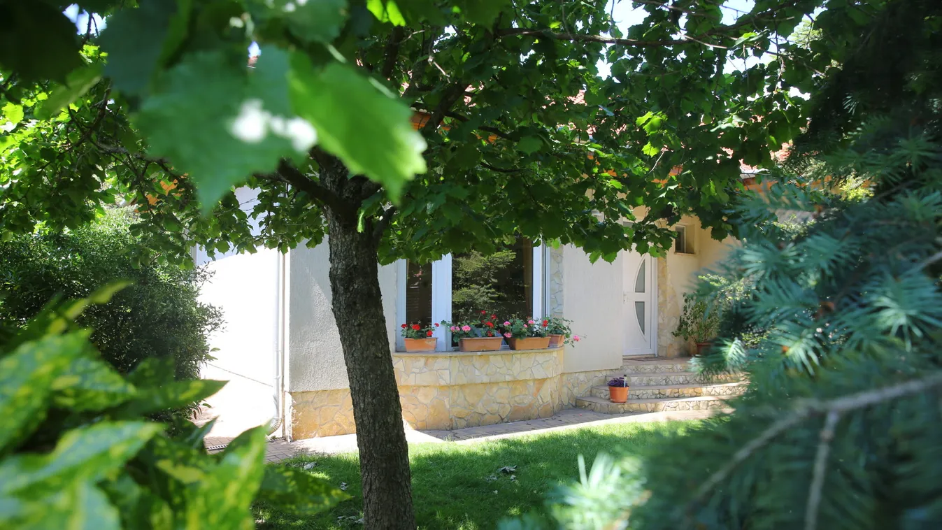 Exkluzív interjú: megszólalt a Ripostnak a terrorizmussal gyanúsított magyar fiú édesapja