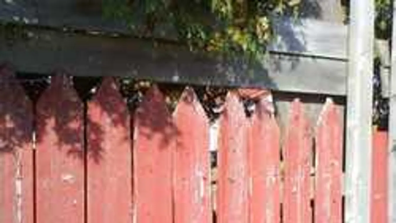 Az emberek 89%-a elbukik ezen a képrejtvényen. De talán neked sikerül megoldani...