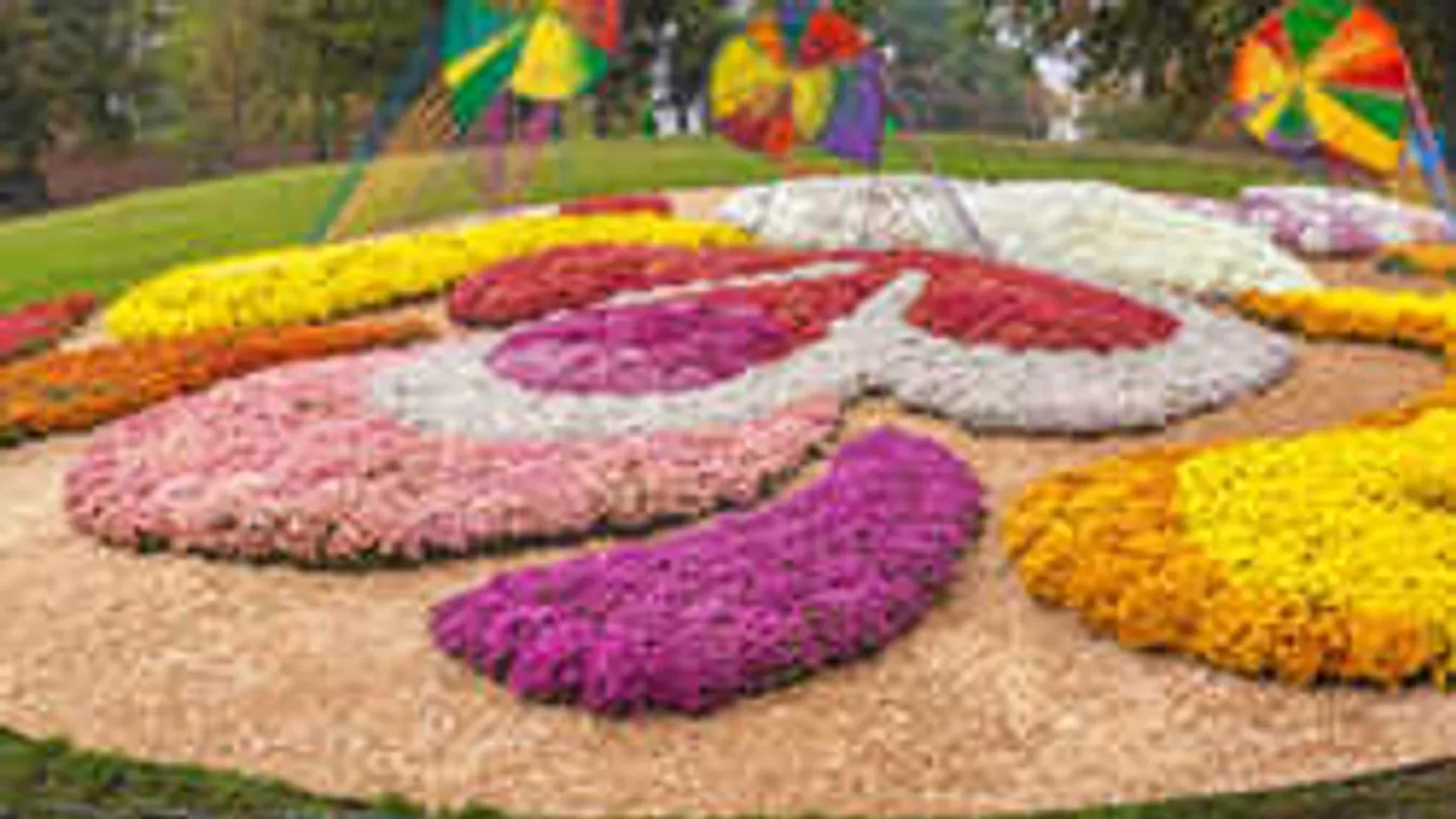 Ne hagyd elgazosodni a kertedet! Ezek a legjobb módszerek