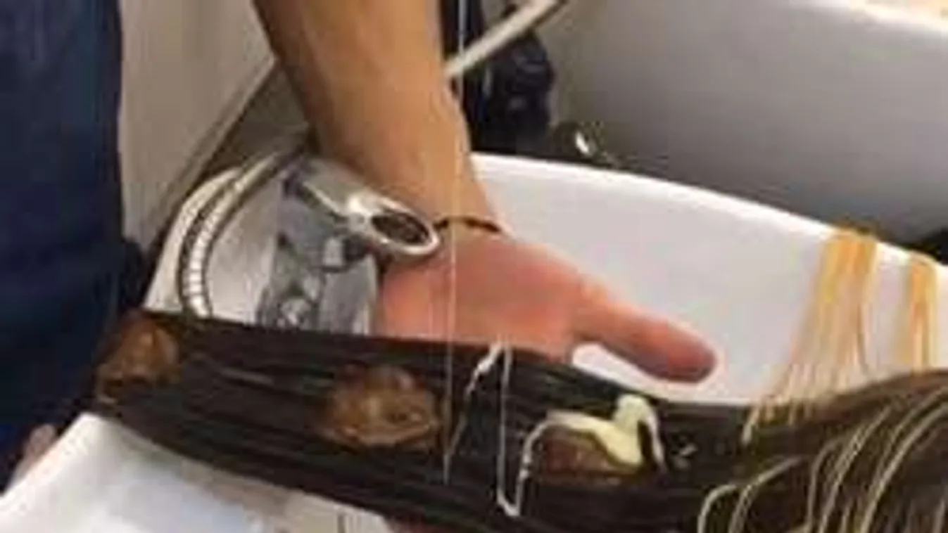 2017 legvadabb frizuraőrülete: Tarol a Nutella hajfestés!